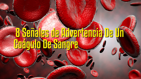 8 Señales de Advertencia De Un Coágulo De Sangre
