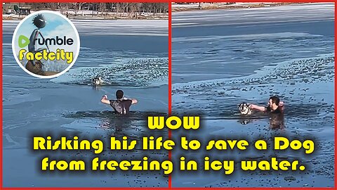 WOW.... Risking his life to save a dog from freezing in icy water.