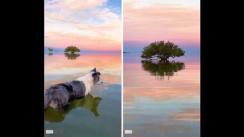 Sunset in Western Australia