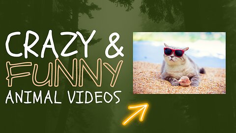 Best Animal Funny Videos 2023