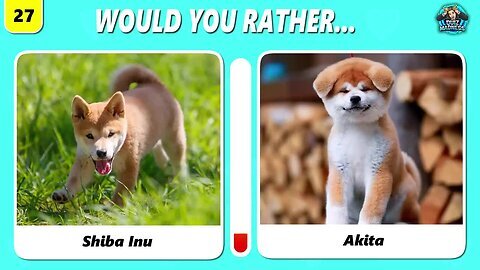 Which PUPPY is Cuter? (Ultimate Dog Lover Challenge)