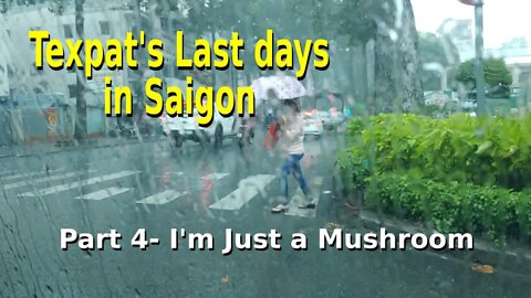 Texpat's Last Days in Saigon -- Part 4 -- I'm Just a Mushroom