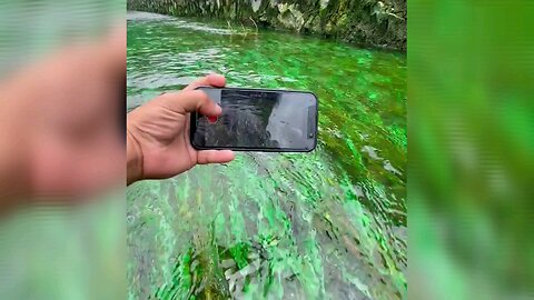 "What's Happening When Your Phone Is Submerged Underwater"