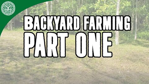 Backyard Farming - Part One