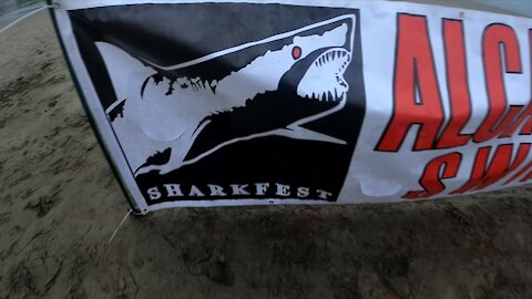 Sharkfest Alcatraz Swim, 2021