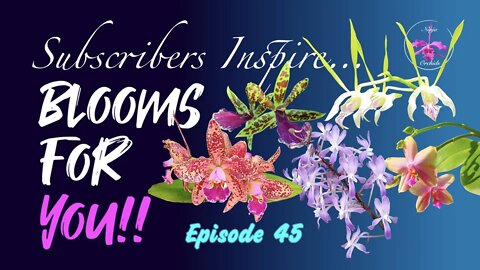 SUBSCRIBERS INSPIRE| You color my life | Blooms for YOU! Episode 45 🌸🌺🌼💐#Orchids #OrchidsinBloom