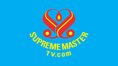 Supreme Master Television