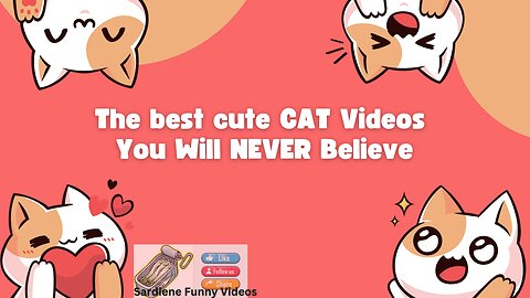#001 The best cute CAT Videos - You will NEVER believe
