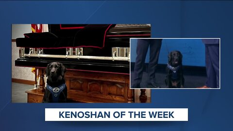 Kenoshan of the Week: Millie the therapy dog