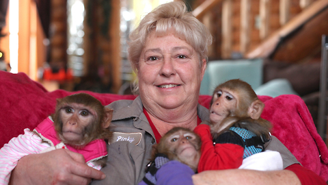 The Monkey Mum: BEAST BUDDIES