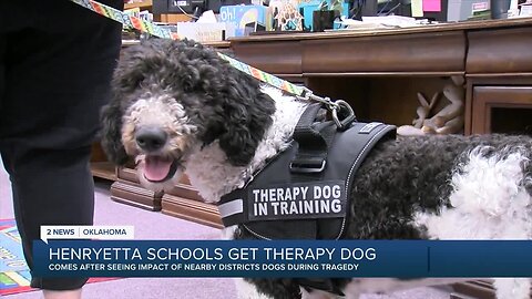 Henryetta schools get therapy dogs