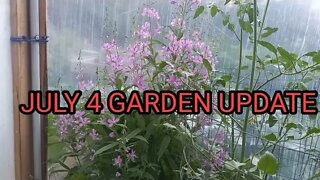 GARDEN UPDATE FOR JULY