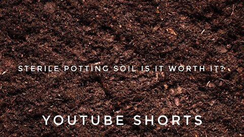 Issues With Sterile Potting Soil For House Plants | Gardening in Canada #Shorts