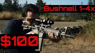 How Good is The Cheapest LPVO - Bushnell AR Optics 1-4x 223 Dropzone BDC