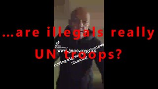 …are illegals really UN troops?