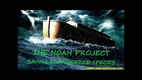 THE NOAH PROJECT - FATHER FISH