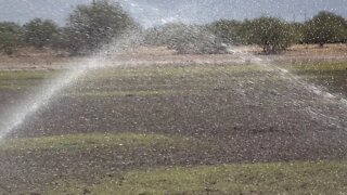 WATER IN ELOY ARIZONA USA