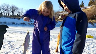 How Big Did Our 3 Inch Rainbow Trout Grow in 100 Days?