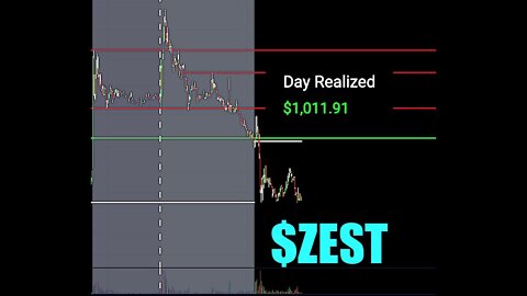 I made $1000 in 16 minutes SHORTING $ZEST STOCK | 10K to 50K Challenge
