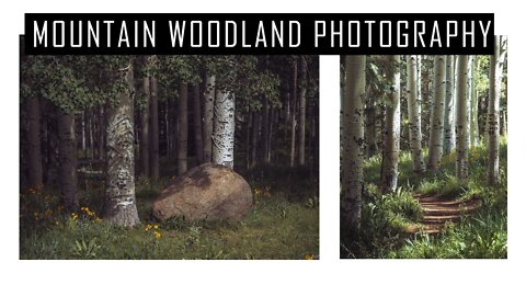 Mountain Woodland Landscape Photography | Lumix G9 Landscape Photography