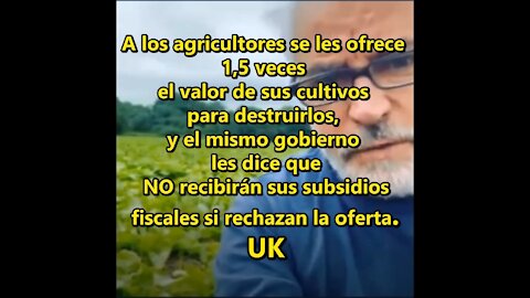 "Escasez de alimentos" en Europa y UK