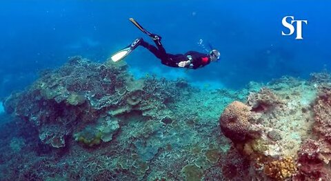 Great Barrier Reef sees warmest water in 400 years: Scientists