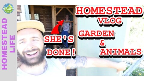 Our Homesteading Journey - Greenhouse Garden and Animals // Homestead Vlog