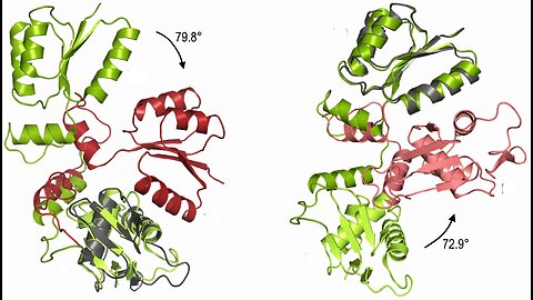 Tutorial for Protein Structure or Homology Modeling