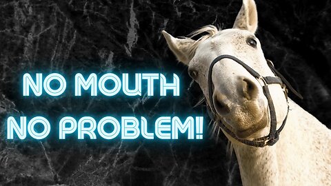 Top 5 Secrets About Horses That Will Blow Your Mind!