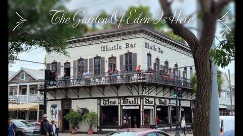 A Walk down Mallery Square and Duval St in Key West Florida.