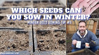 🌱 Which Seeds Can You Sow in Winter? | Winter Seed Sowing - SGD 301 🌱