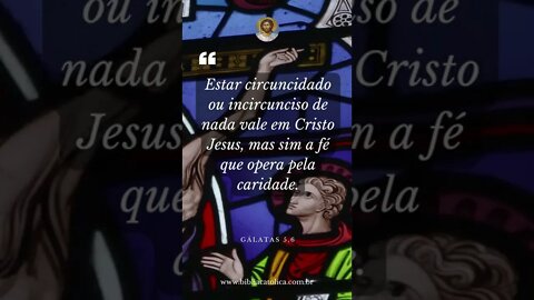 Gálatas 5,6 - Estar circuncidado ou incircunciso de nada vale em Cristo Jesus, mas sim a fé que...