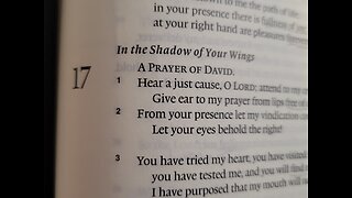 Psalm 17 - ESV Audio