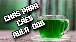 Chá de Lavanda para Cães: aula 006 | Dr. Edgard Gomes | Alimentação natural para Cães