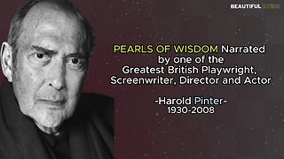 Famous Quotes |Harold Pinter|