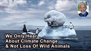 Why We Only Hear In The Media About Climate Change, But Not The Loss Of Wild Animals