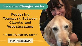 Fostering Teamwork Between Clients and Veterinarians With Dr. Deirdre Farr