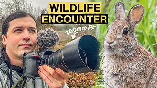 WILDLIFE ENCOUNTER, Miracles happen every day | Alex Beldi