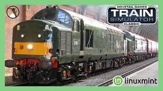 Train Simulator LIVE on Linux MINT 21 #TEST