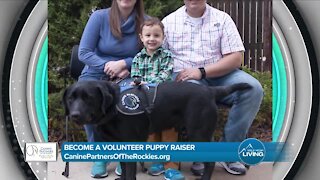 Be A Volunteer Puppy Raiser! // Canine Partners Of The Rockies