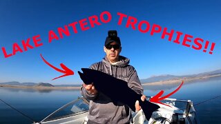 *INCREDIBLE DAY* Fishing Colorado Mountain Lakes - New PB x2!