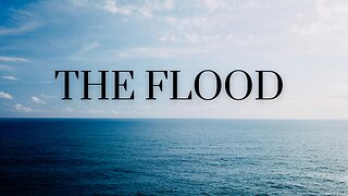 The Flood | Genesis 6-9