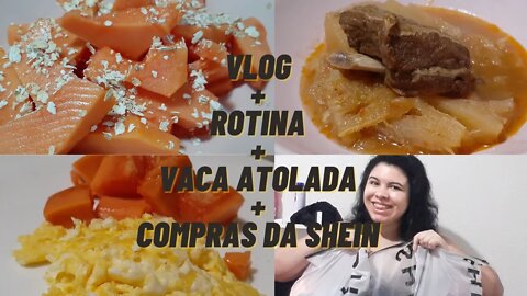 VLOG|ROTINA|FIZ VACA ATOLADA|COMPRAS DA SHEIN