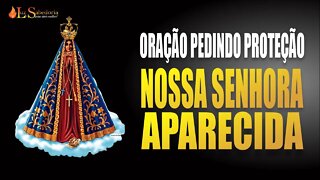 Oração a NOSSA SENHORA APARECIDA pedindo PROTEÇÃO