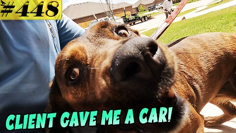 He gave me a car out of the blue. Very unexpected! Rescue dogs LOVE the MOST!