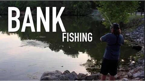 Bank Bass Fishing -- VLOG