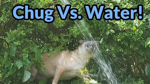 Chug Vs. Water!