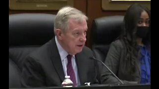 Sen Durbin Cuts Off Witness During Chicago Violence Hearing for Talking About Chicago Violence