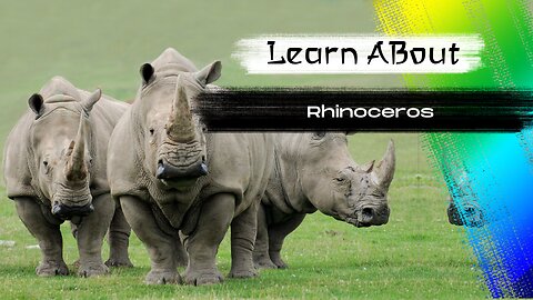 Rhinoceros! 🦏 One Of The Tallest Animals In The World
