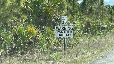 Picayune State Forest Trails, Smallest US Post Office and an Abandoned Building, Naples Florida